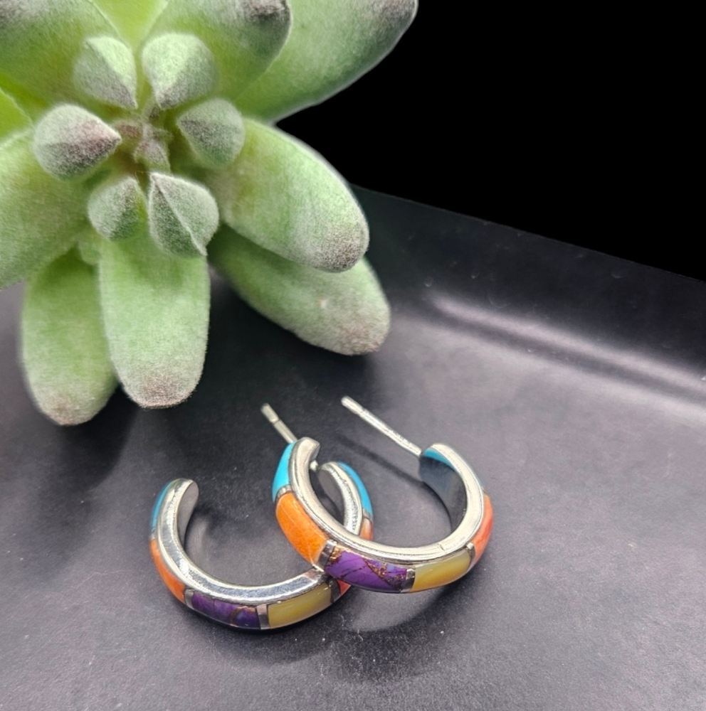 Multi Turquoise Earrings